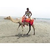 Meron Ghile's photo