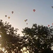 John Bassi's photo
