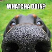 Jason Knipe's photo