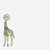 Harriet Tierney's photo
