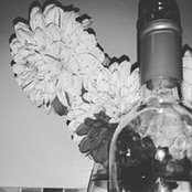 Angi Waldron's photo