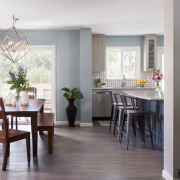 New Contemporary Remodel
