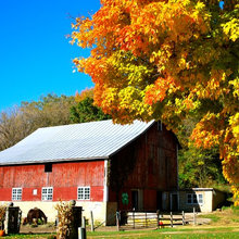 barns