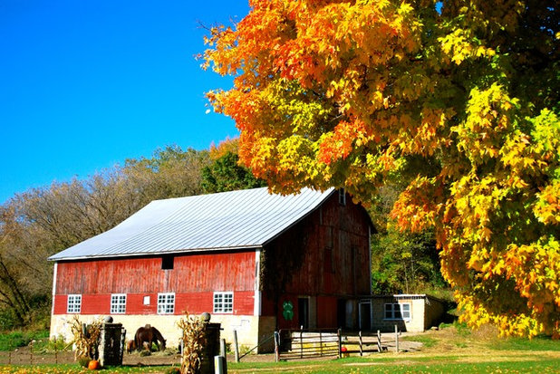 Brilliant Scenes of Fall Color Indoors and Out