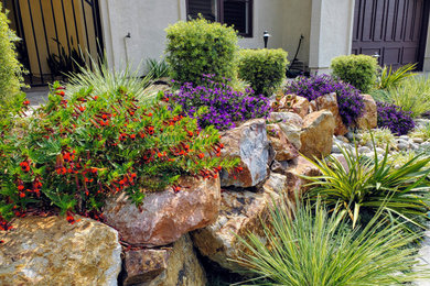 Design ideas for a mediterranean landscaping in San Diego.
