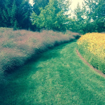 Meadows