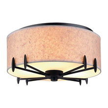 Ceiling fixture