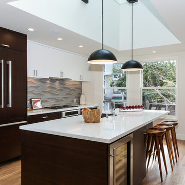 Mission District Modern Renovation