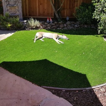 Artificial Grass Installations with Purchase Green