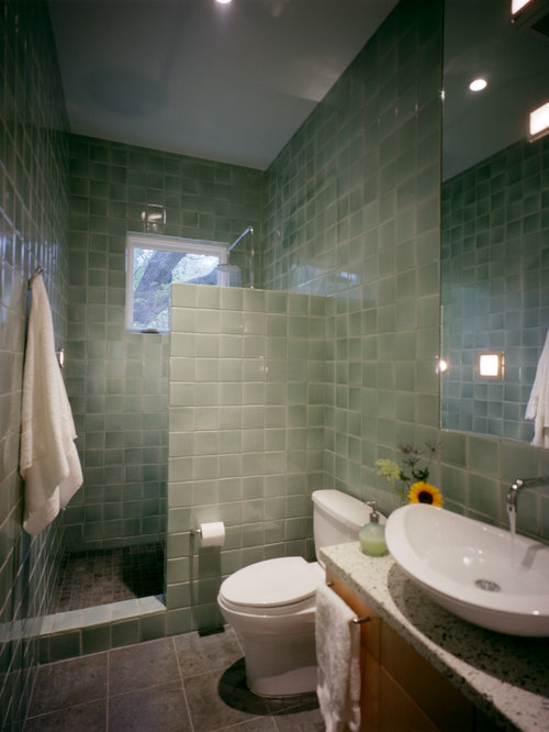 Showers Without Doors Home Design Ideas, Pictures, Remodel ...