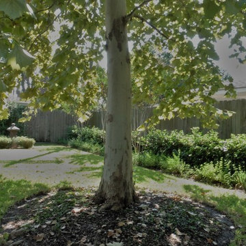 Landscape Revitalization- Update September 2016