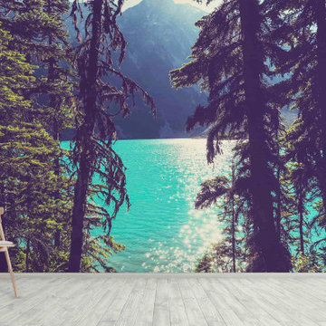 Lake Joffre Through the Trees