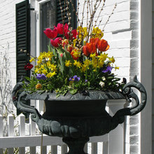 Landscape/Gardens