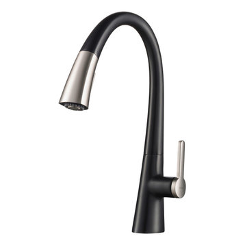 Nolen 2-Function Pull-Down 1-Handle 1-Hole Kitchen Faucet Spot Free Stainless MB