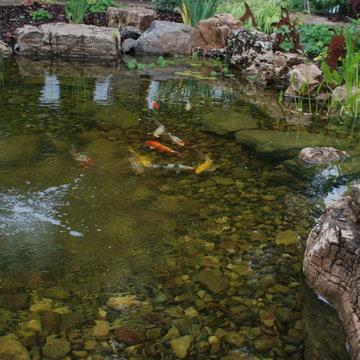 Monet Inspired Koi Pond and Garden