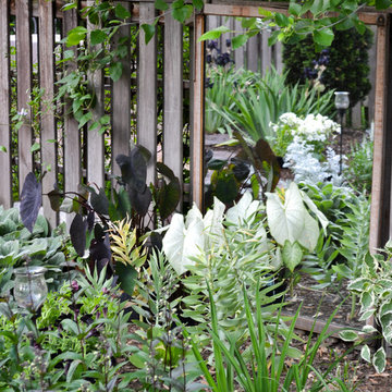Black & White Garden