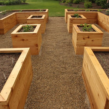 kitchen garden