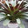 Diseños de Jardin Sunset Gardens