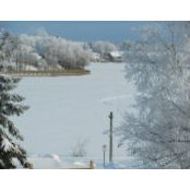Margo Labine's photo