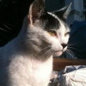 Claudine Eccleston's photo