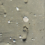 Karin Montero's photo