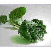 Vikas Deogam's photo