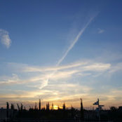 Silvio Nocilla's photo