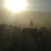 Abbie Malek's photo