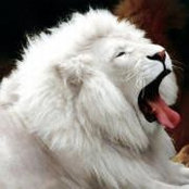 Snjezana Lulic-Veselinovic's photo