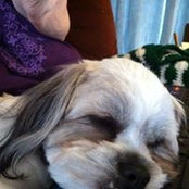 Foto von Cheryl DeMorrow