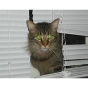 Melanie Moorman's photo
