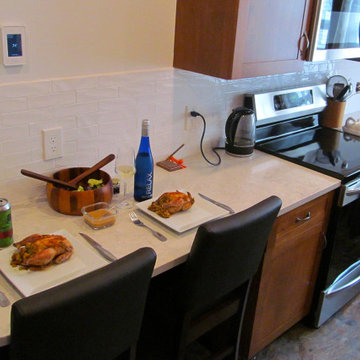 Roslindale Galley Kitchen in Alder