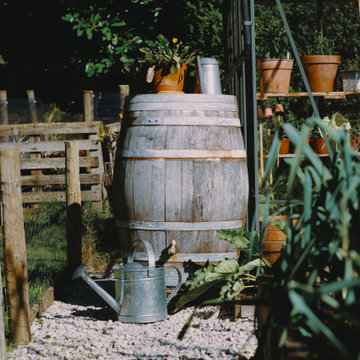 Whisky barrel waterbutt