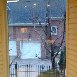 Foggy Window - Glass Unit Replacement - Windows
