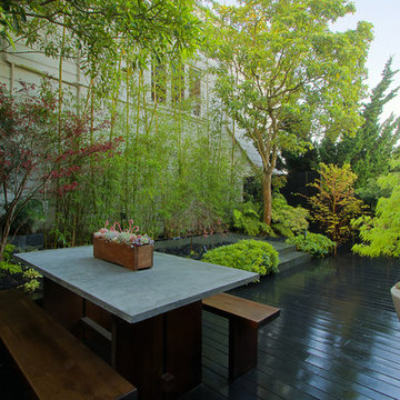 A Screen of Soft Green
