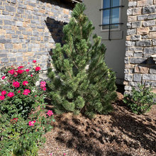 Kepm’s Landscape Ideas