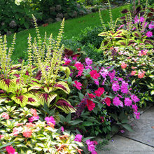 patio plantings