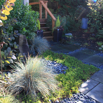 Phinny Ridge- Small Space Garden