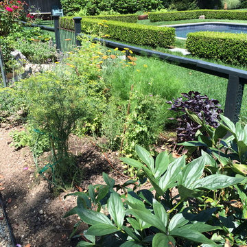 Ornamental and Edible