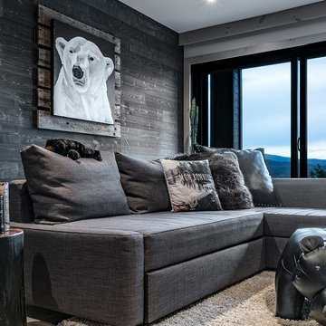 Woodbox Factory Anthracite Peel and Stick Wood Wall Covering - Living Room Wall