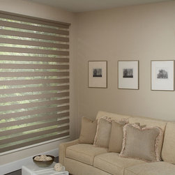 Allure Transitional Shades - Window Treatments