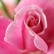 Luisa Tabares's photo