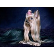 Mary Lundgren's photo