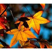 Mark Wells's photo