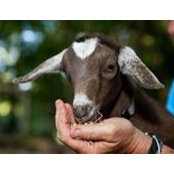 Brenda Leeper's photo