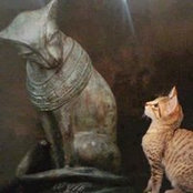 Foto de Bernadette Cappello
