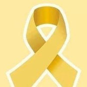 Donna Feiler Meek's photo