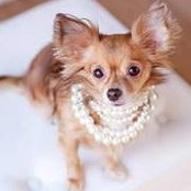 Kim Ortiz's photo