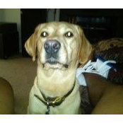 Kenneth Perrault's photo