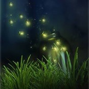 Diana Preiss's photo